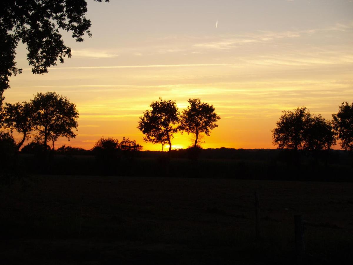 Camping Chez L'Habitant Noyal-Muzillac Exteriér fotografie